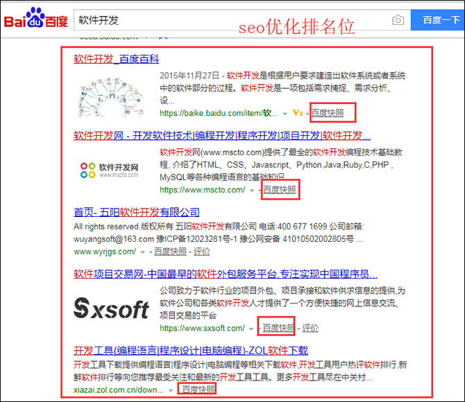 搜索“软件开发”的seo排名位.png